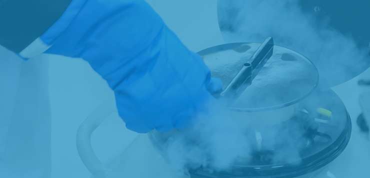 Egg Banking & Freezing