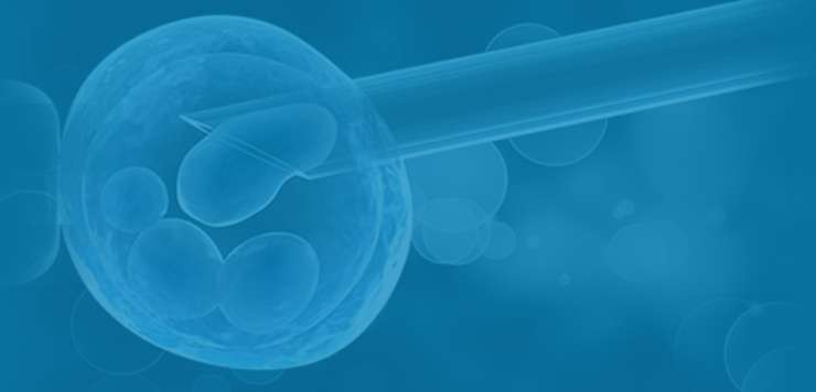 Preimplantation Genetic Screening (PGS)